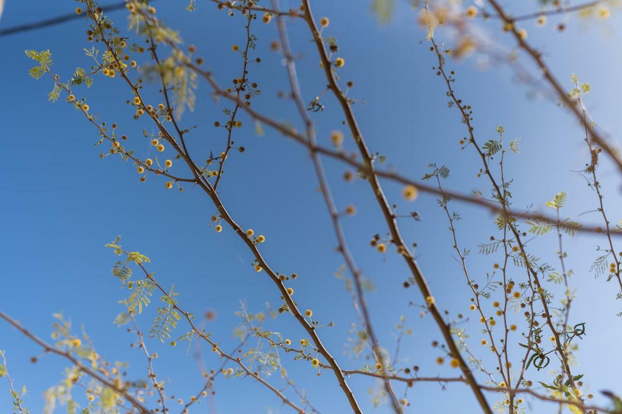 Feriehus Little Mimosa *